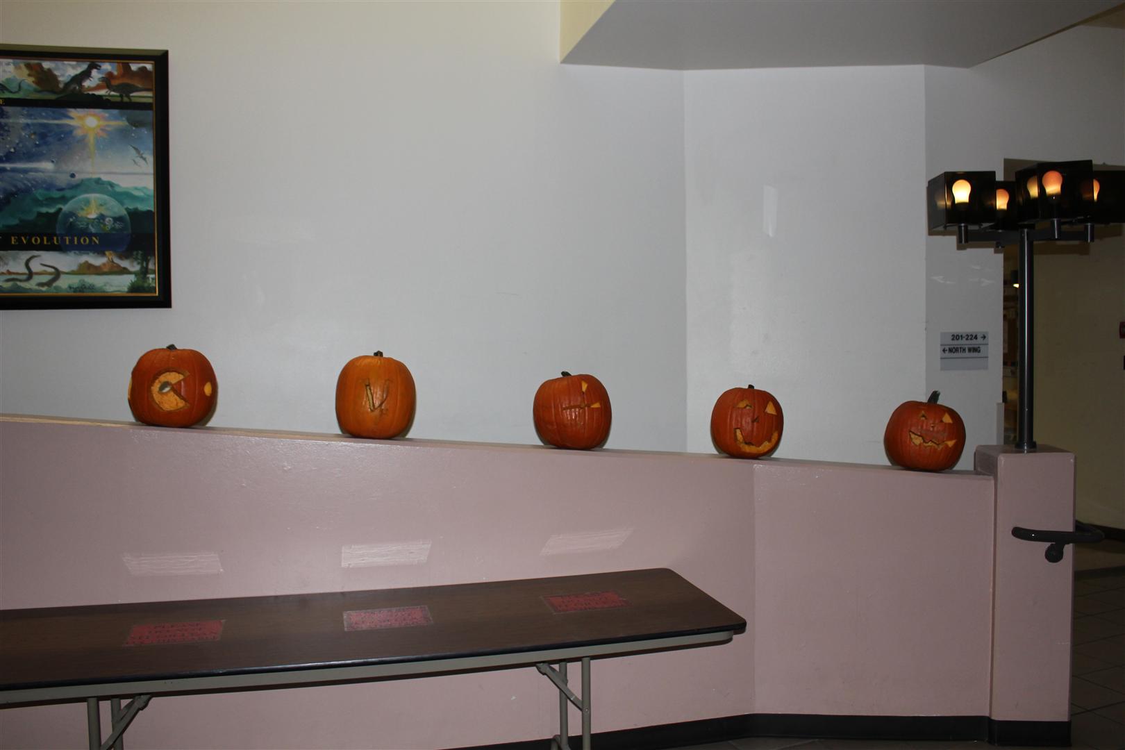 First set of carved pumpkins