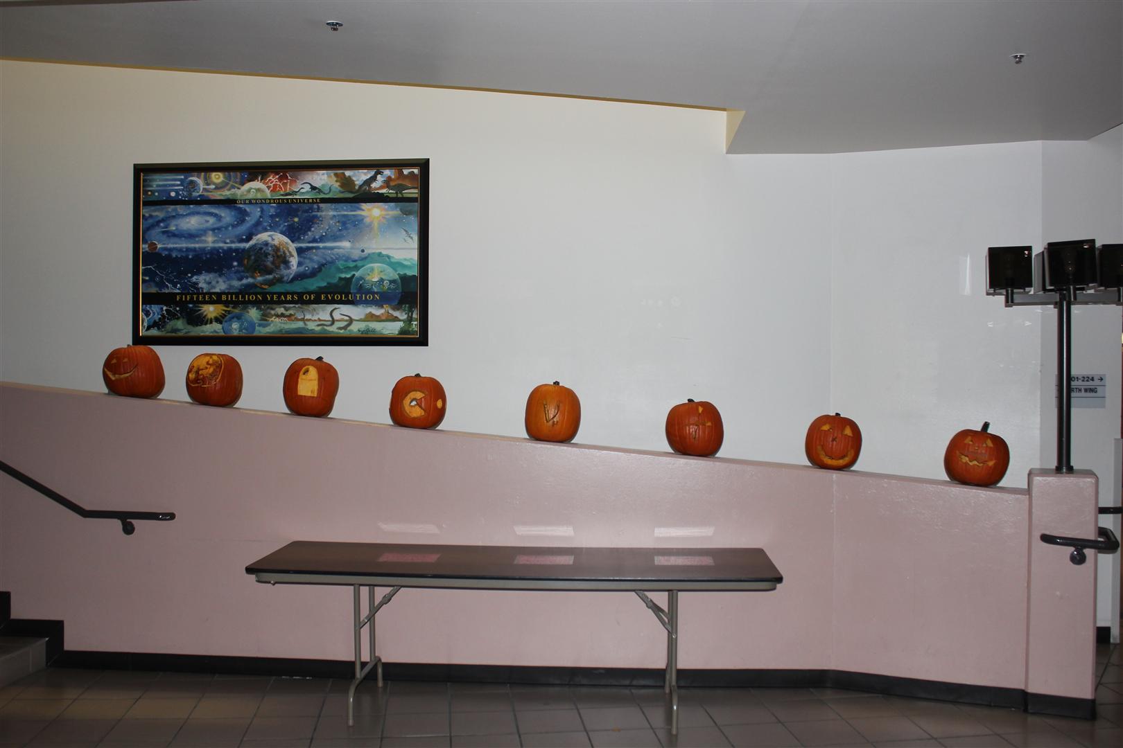 All pumpkins in Steward