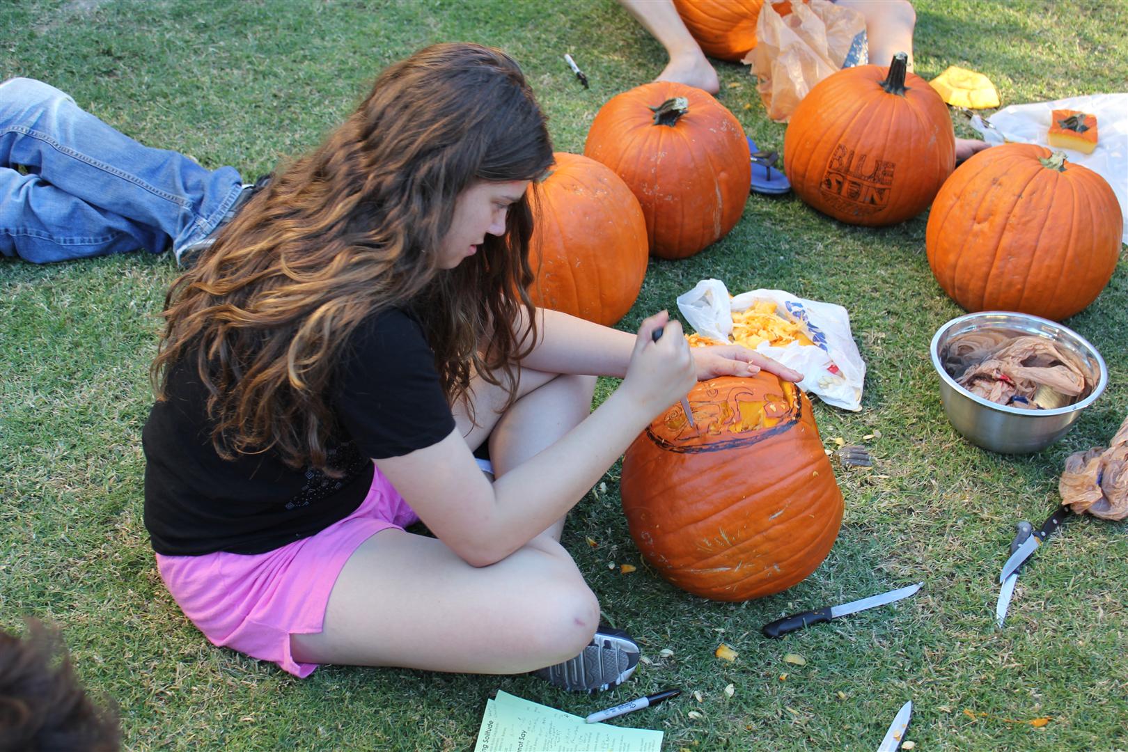 Lindsay carving the world