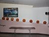 All pumpkins in Steward