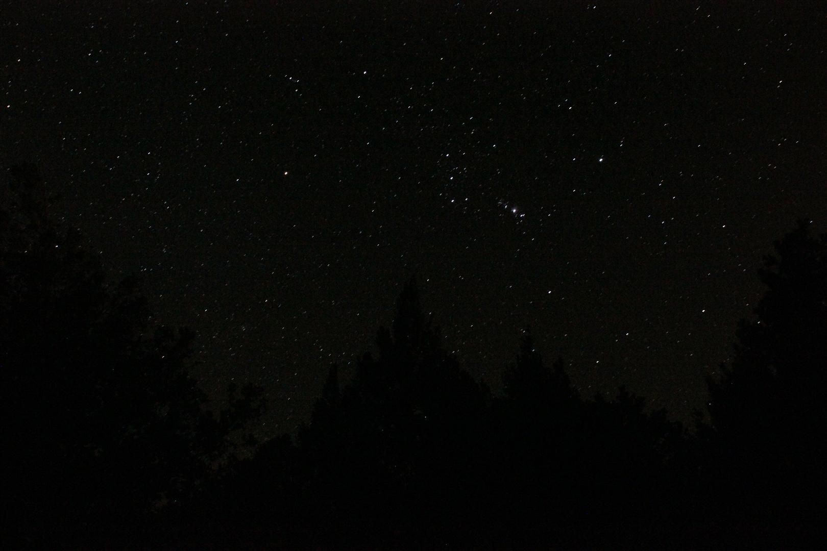 Orion